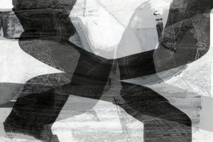 Trazos monocromáticos dinámicos de cartissi