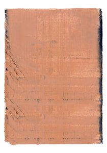 Abstracto con textura terrosa de cartissi