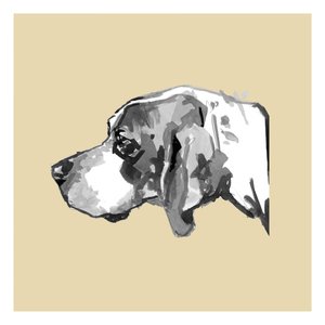 Perfil de un perro elegante de cartissi