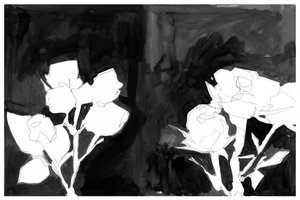 Elegantes flores nocturnas de cartissi