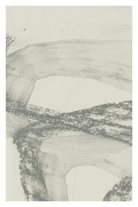 Abstracto gris fluido de cartissi