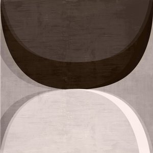 Curvas abstractas modernas de cartissi