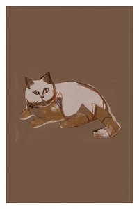 Gato de estilo moderno de cartissi