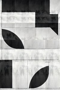 Formas orgánicas monocromáticas de cartissi