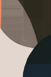 Formas orgánicas en tonos apagados de cartissi