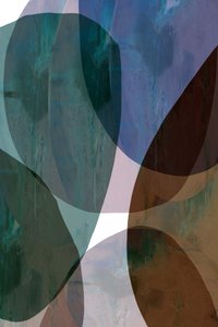 Formas abstractas orgánicas de cartissi