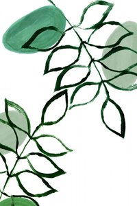 Hojas verdes ecológicas de cartissi