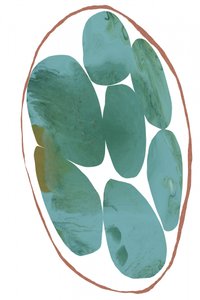 Gemas orgánicas de color verde azulado de cartissi