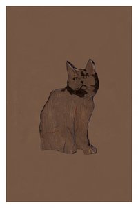Gato marrón tranquilo de cartissi