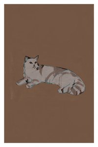 Gato gris relajado de cartissi