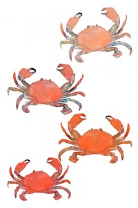 Marisco, cangrejos, acuarela