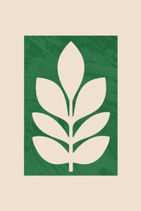 Tallo botánico sencillo de cartissi