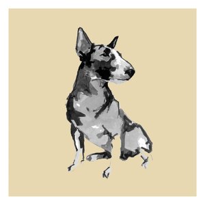 Bull Terrier sentado