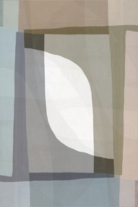 Abstracto orgánico suave de cartissi