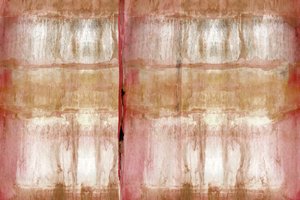 Textura suave y orgánica de cartissi