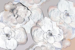 Flores blancas y delicadas de cartissi