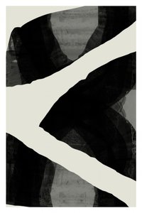 Abstracción de fuertes contrastes de cartissi