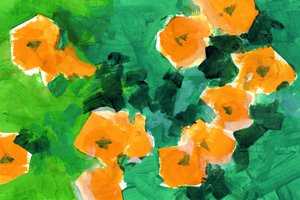 Floraciones de naranjo de vivos colores de cartissi