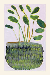 Planta en maceta de colores vivos
