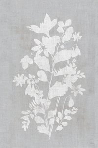 Silueta floral blanca de cartissi