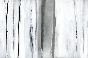 Abstracción del Bosque Blanco