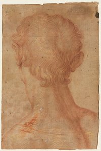 Cabeza de Hombre desde Atrás de copy after Agnolo Bronzino