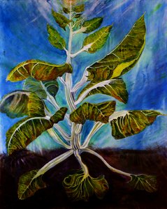 Acelga atornillada, 2016 (óleo sobre lienzo)