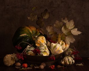 Calabazas de otoño oscuro de magnola