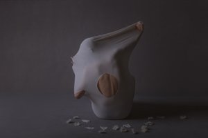 Figura abstracta con drapeado de nargesjabbari