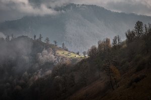 La serenidad de la montaña brumosa de nima.zadshir