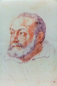 Retrato de Jacopo Barozzi da Vignola de or Zuccaro Federico Zuccari