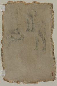 Estudios de un toro (verso)