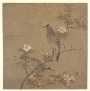 Flowers and Birds de style of Qian Xuan