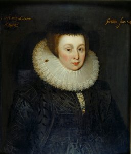 Retrato de Lady Emily Howard, principios del siglo XVII de the Younger School of Marcus Gheeraerts