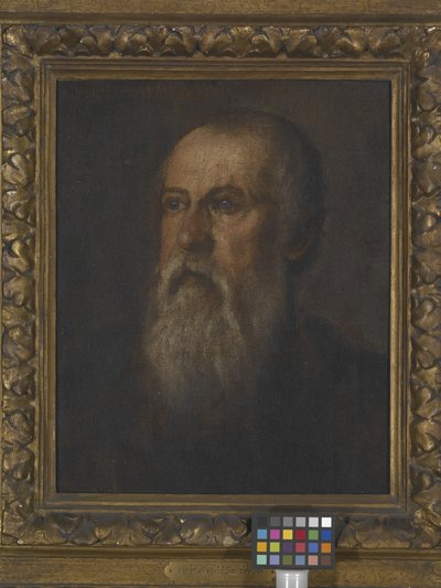 Portrait Of A Bearded Man (óleo sobre lienzo montado en tabla) de (1528 88) Veronese