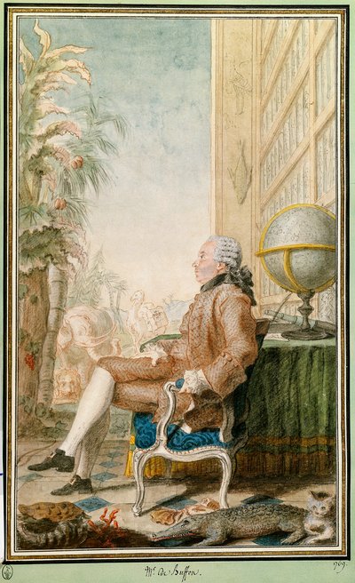 Retrato de Georges-Louis Leclerc, Conde de Buffon de Carmontelle