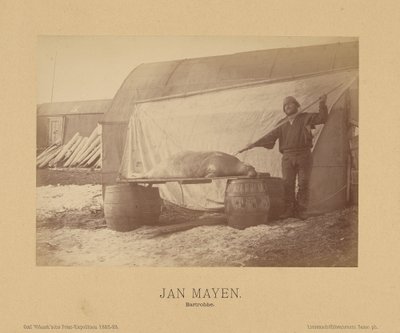 Jan Mayen, Bartrobbe de (Linienschiffs Lieutenant) Richard Basso