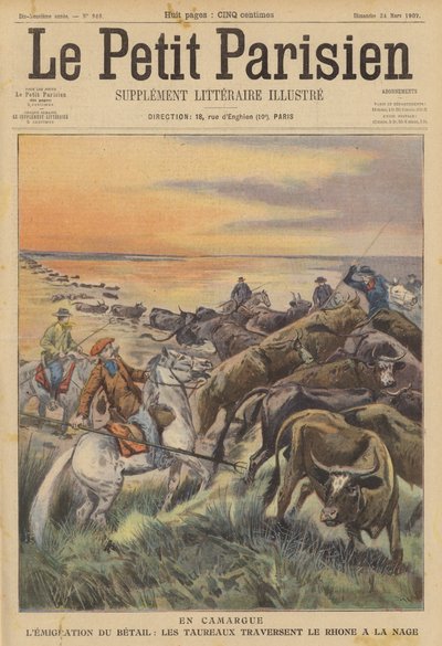 Migración de ganado en la Camarga: una manada de toros nadando a través del río Ródano (litografía a color) de (after) Carrey