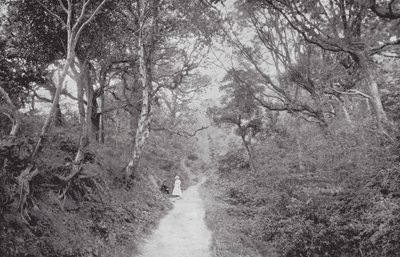 Fairlight Glen (foto b/n) de (after) English photographer