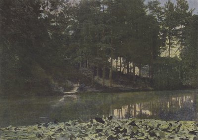 Bois de Boulogne, Le Reservoir de (after) French Photographer