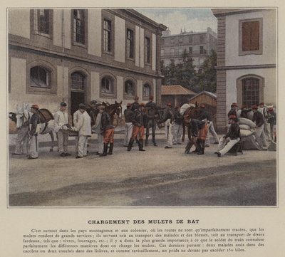 Carga de mulas de carga de (after) French Photographer