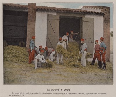 La bota de coco de (after) French Photographer