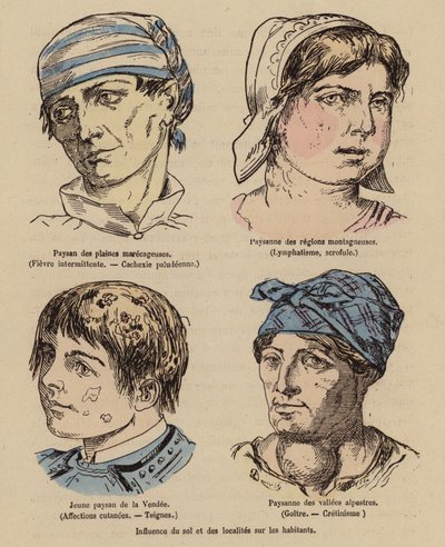 Influencia del Sol y de la situación geográfica en las personas (grabado coloreado) de (after) French School