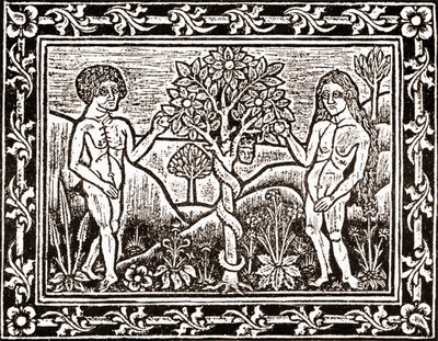 El árbol del que Adán comió la manzana, facsímil de un libro de meditación, el primer libro impreso en Albi, Languedoc, en 1481 de (after) French School