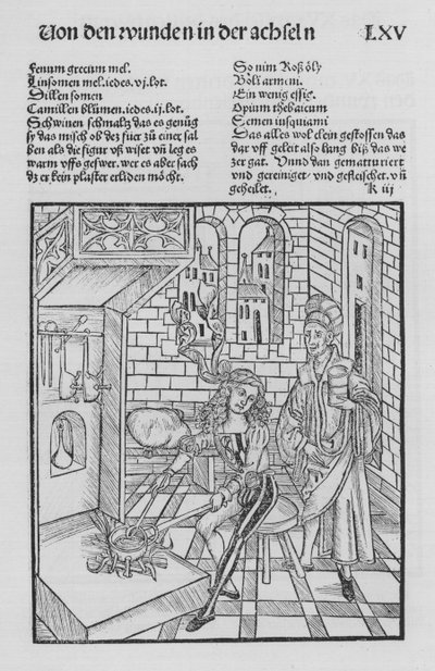 El libro de Cirurgia de Hieronymus Brunschwig de (after) German School