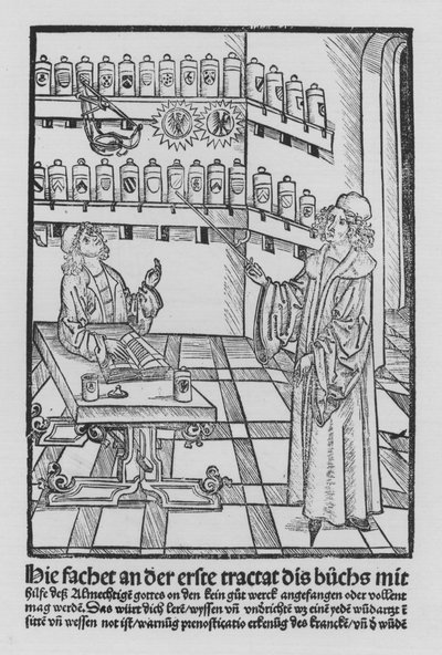 El libro de Cirurgia de Hieronymus Brunschwig de (after) German School
