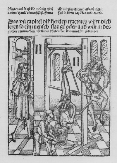 El libro de Cirurgia de Hieronymus Brunschwig de (after) German School