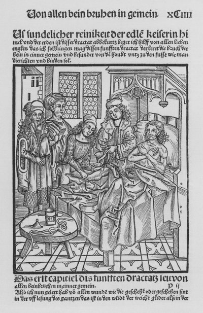 El libro de Cirurgia de Hieronymus Brunschwig de (after) German School