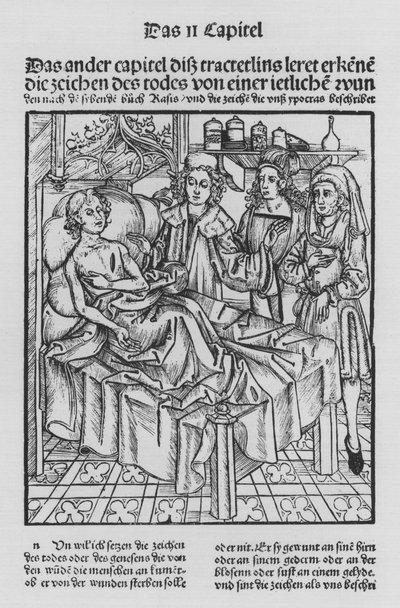El libro de Cirurgia de Hieronymus Brunschwig de (after) German School