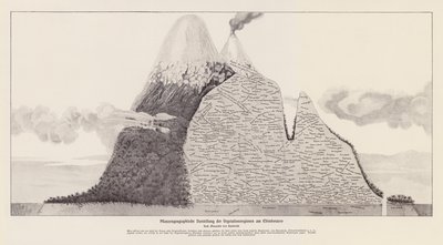 Regiones de vegetación del Chimborazo, Ecuador (litografía) de (after) German School